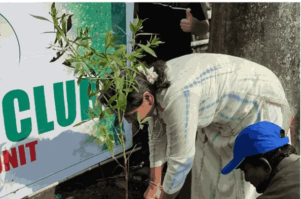  Tree Plantation Programme