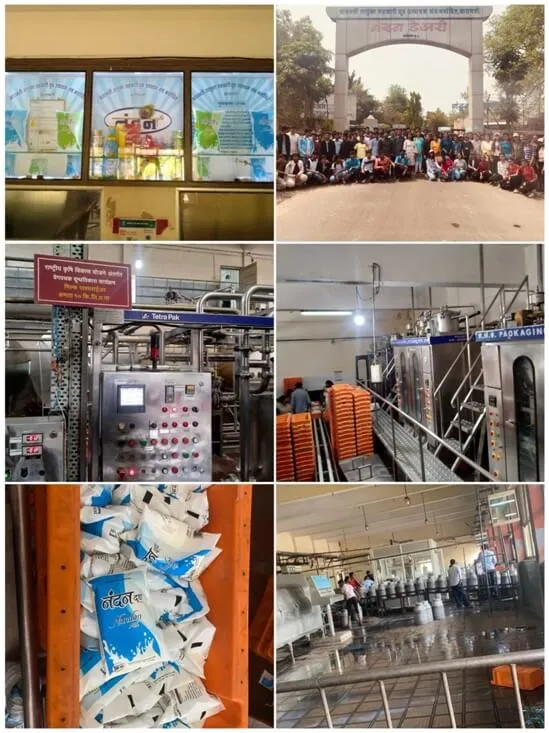 Nandan Dairy &Pappermint Industry, PCP