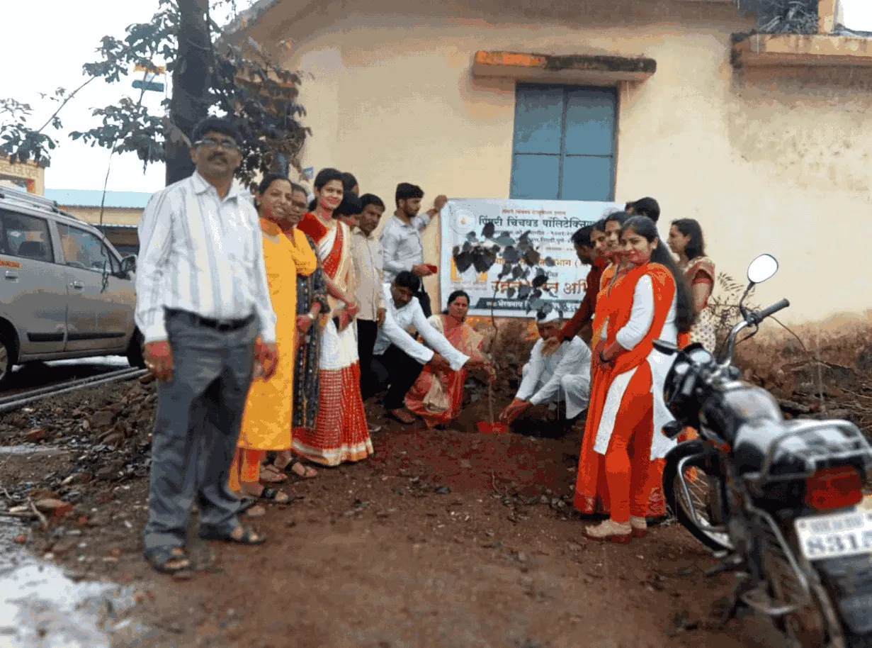Tree Planation, PCP