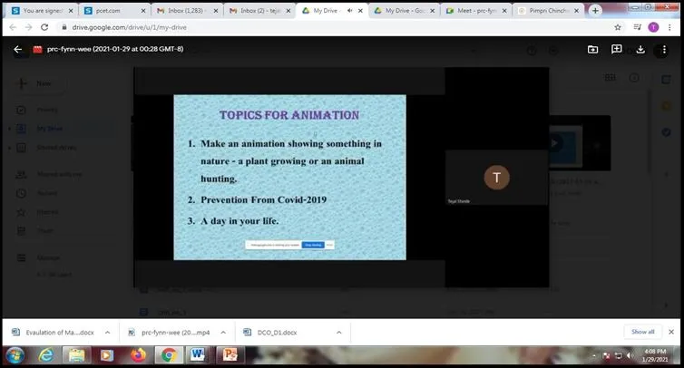 Animation, PCP