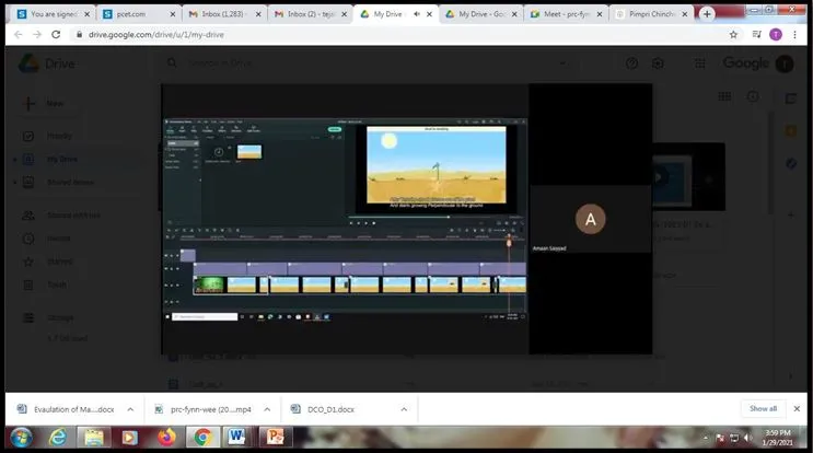 Animation, PCP