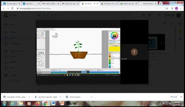Animation, PCP