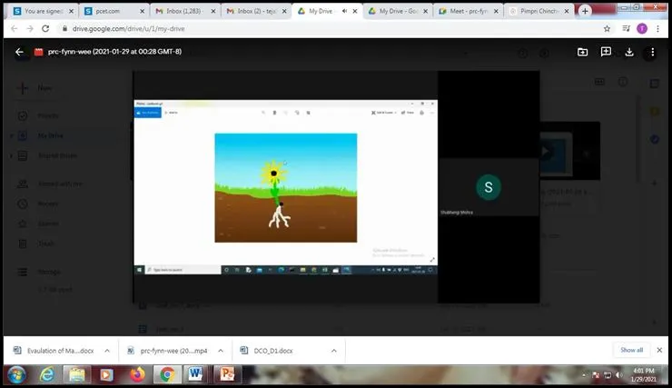 Animation, PCP