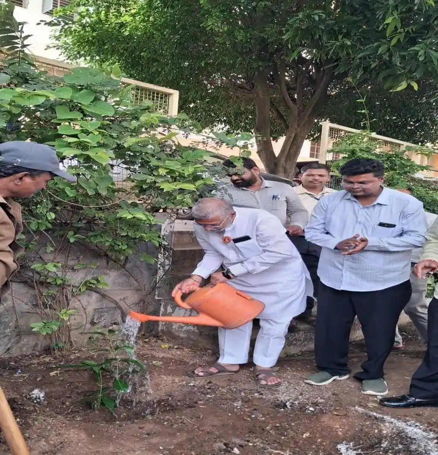  Tree Plantation Program