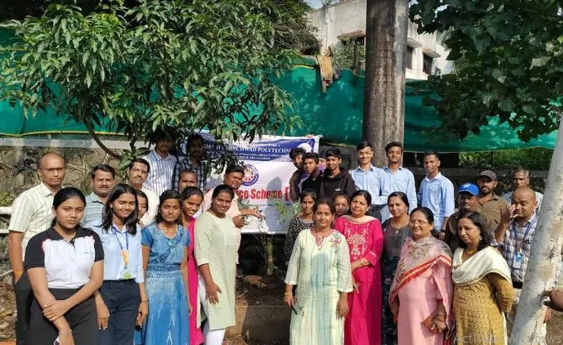 Tree Plantation program