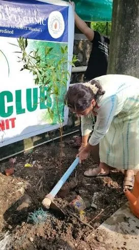 Tree Plantation program